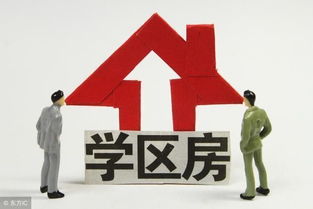 最新泰安市小區(qū)學(xué)區(qū)劃分明細(xì)表，速來(lái)轉(zhuǎn)發(fā)收藏！
